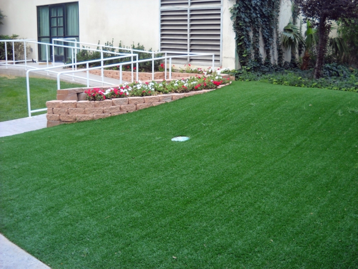 Synthetic Grass Cost Green Acres, California Design Ideas, Front Yard Landscaping Ideas