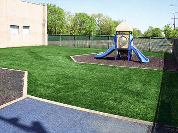 Synthetic Grass Cost Lakeview, California Landscape Ideas, Commercial Landscape