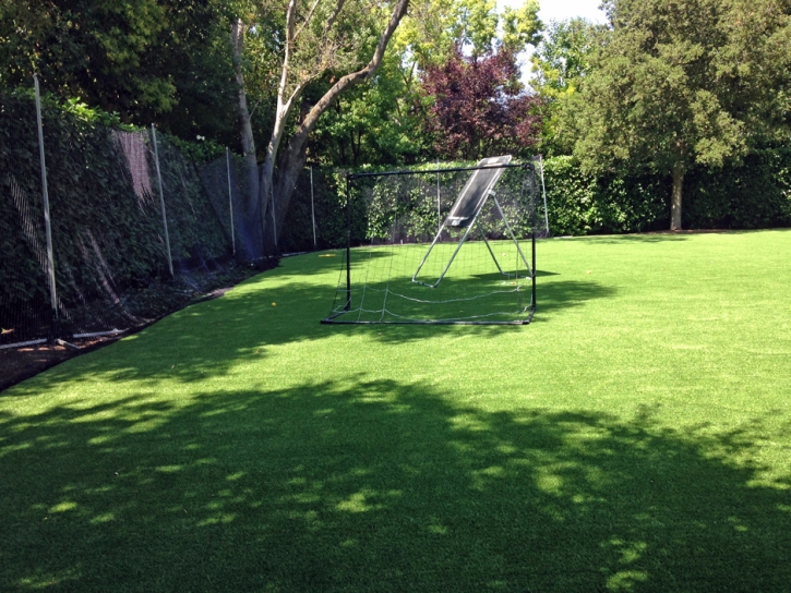 Synthetic Grass Cost Mira Loma, California Football Field, Backyard Landscaping