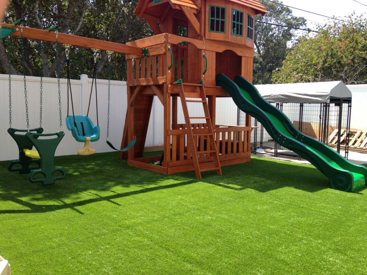 Synthetic Grass Cost Sunnyslope, California Lawns, Backyard Design