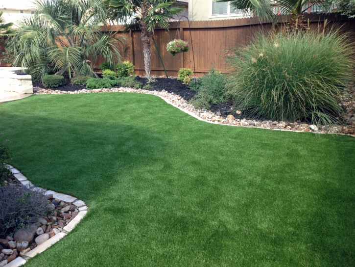 Synthetic Grass Homeland, California Backyard Deck Ideas, Backyard Landscape Ideas