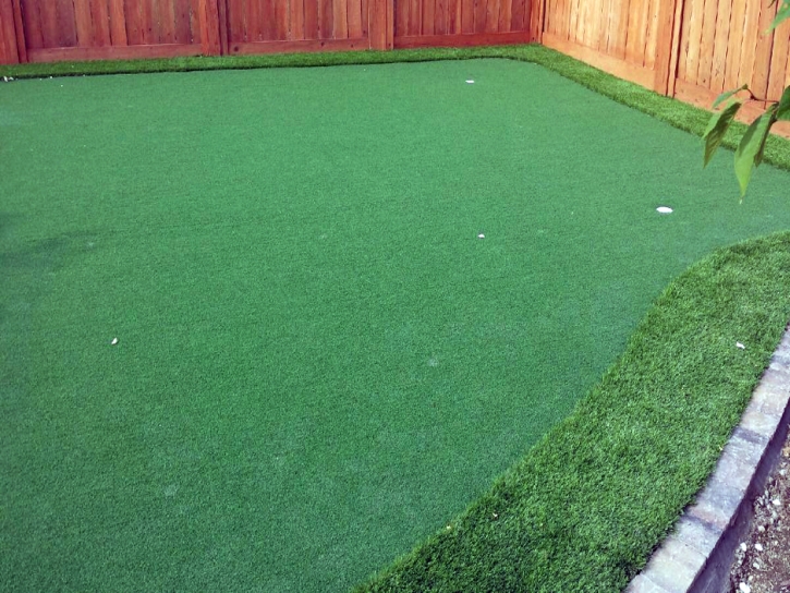 Synthetic Grass Romoland, California Lawn And Garden, Backyard Garden Ideas