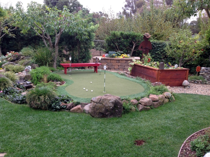 Synthetic Grass Sunnyslope, California Landscape Photos, Backyard Ideas