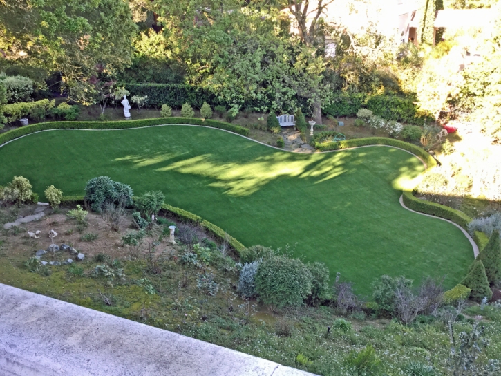Synthetic Lawn Indio, California Lawns, Backyard