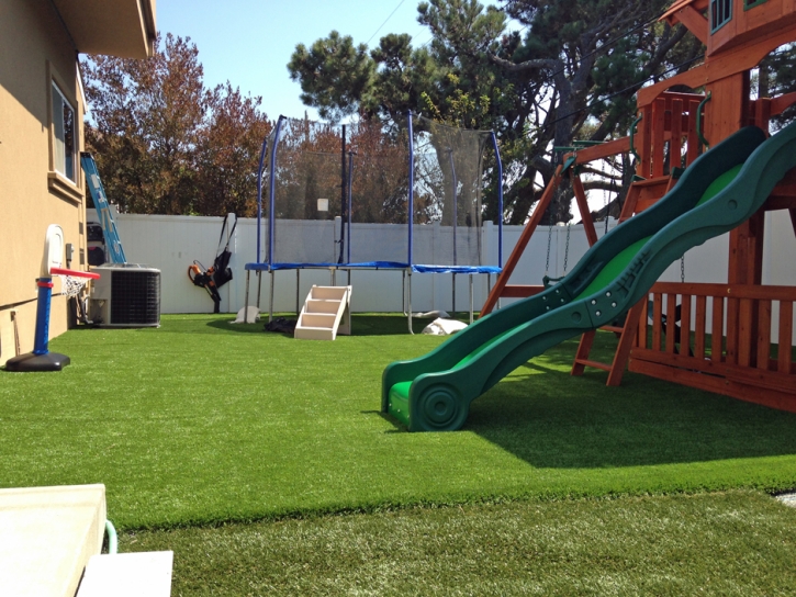 Synthetic Lawn Palm Springs, California Backyard Playground, Backyard Landscape Ideas