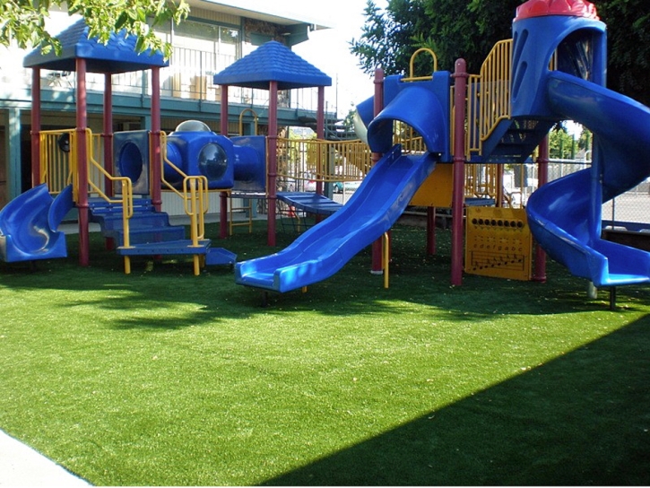 Synthetic Lawn Winchester, California Playground Turf, Commercial Landscape