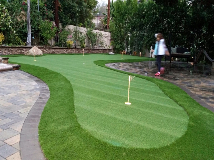 Synthetic Turf Lakeland Village, California Diy Putting Green, Backyard Ideas