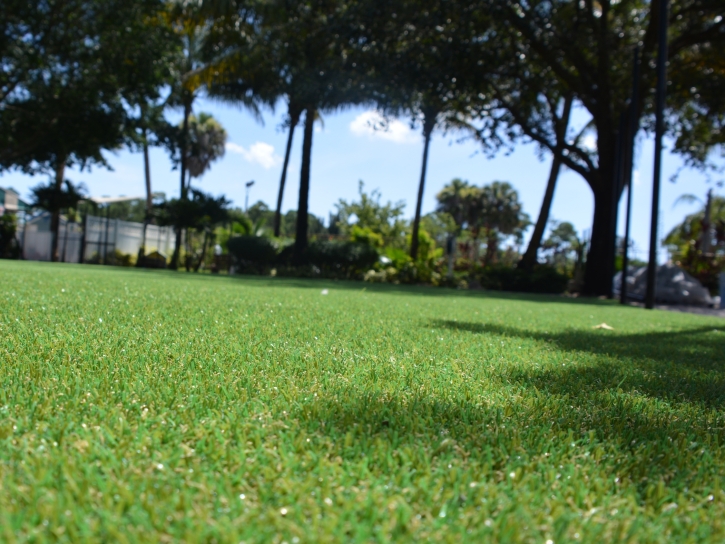 Synthetic Turf Mira Loma, California City Landscape, Recreational Areas