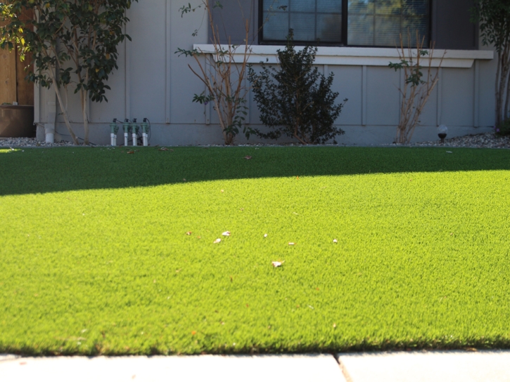 Synthetic Turf Oasis, California Landscaping Business, Front Yard Landscape Ideas