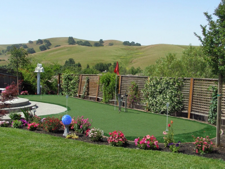 Synthetic Turf Sky Valley, California Putting Green, Backyard