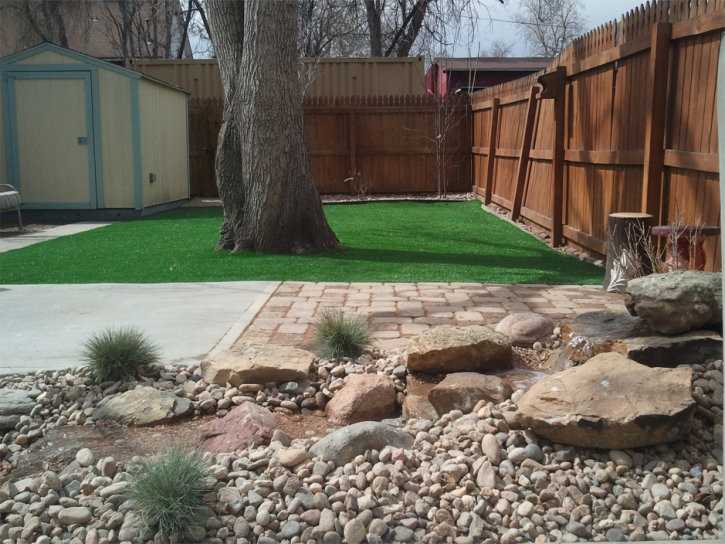 Synthetic Turf Supplier Indian Wells, California Roof Top, Backyard Garden Ideas