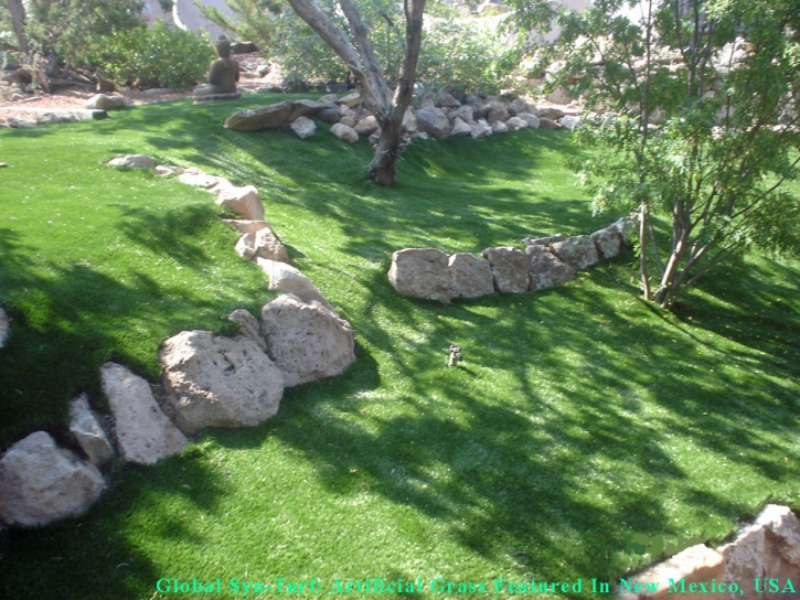 Synthetic Turf Supplier Woodcrest, California Landscape Design, Commercial Landscape