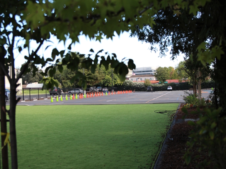 Synthetic Turf Temecula, California Playground Turf, Commercial Landscape