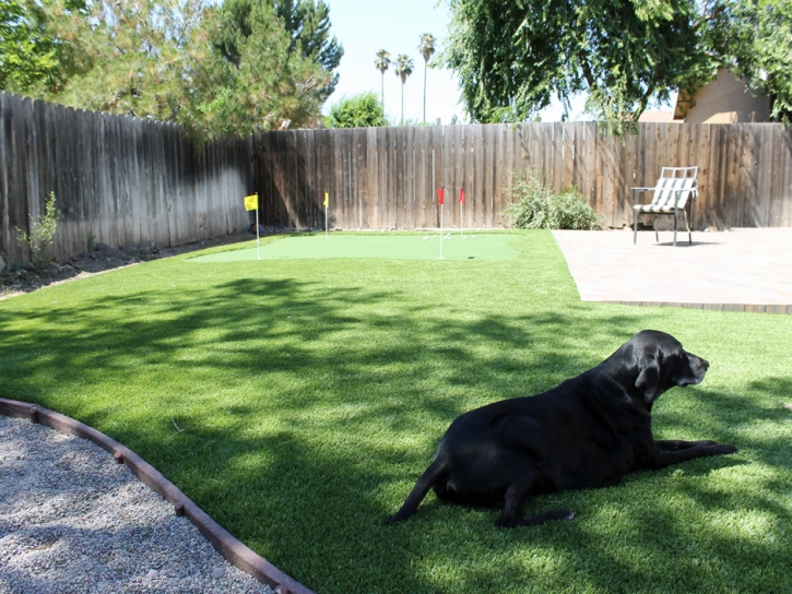 Turf Grass Garnet, California Backyard Playground, Backyard Design