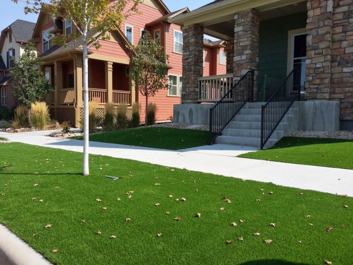 Turf Grass Lakeview, California Landscape Ideas, Landscaping Ideas For Front Yard