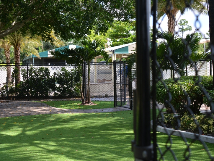 Turf Grass Perris, California Backyard Playground, Commercial Landscape